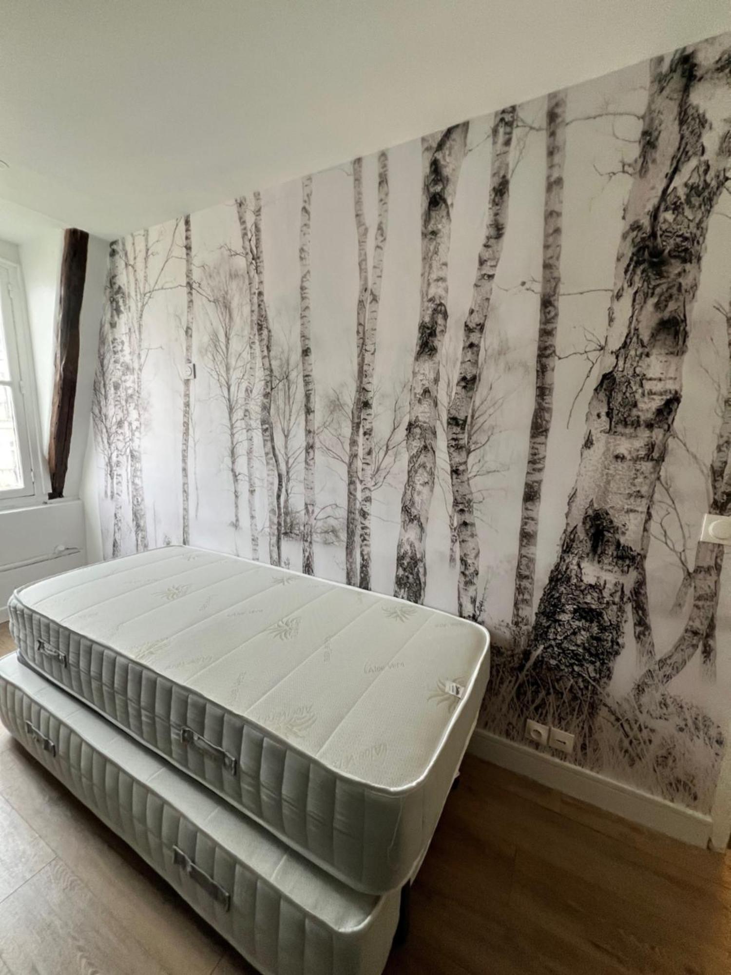 Batignolles, Montmartre Chambre 12M2 , Metro 13 Et 14 パリ エクステリア 写真