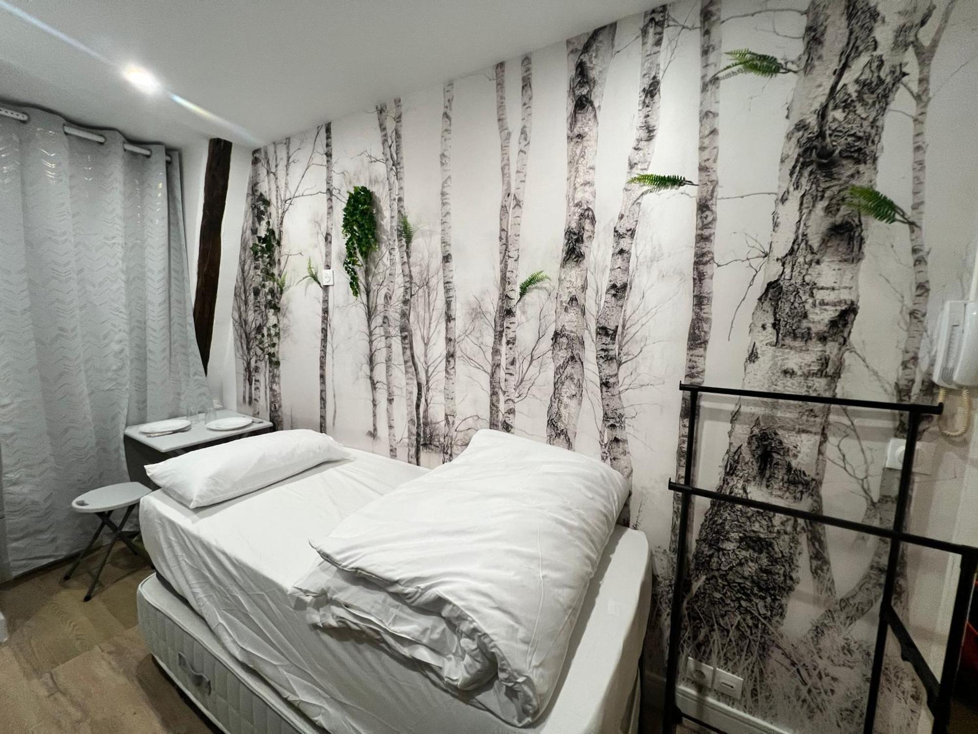 Batignolles, Montmartre Chambre 12M2 , Metro 13 Et 14 パリ エクステリア 写真